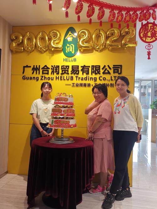 广东合润投资发展有限公司有何业务布局？