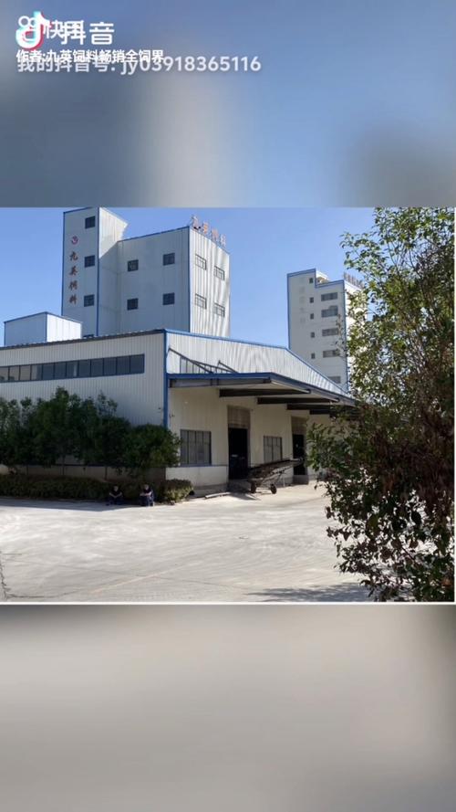 宁波森和祥投资有限公司背景实力如何?