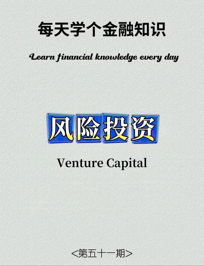 风险投资基金投资问题