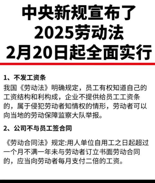 2025年新增的法律