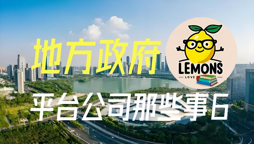 政府平台投资公司是什么?