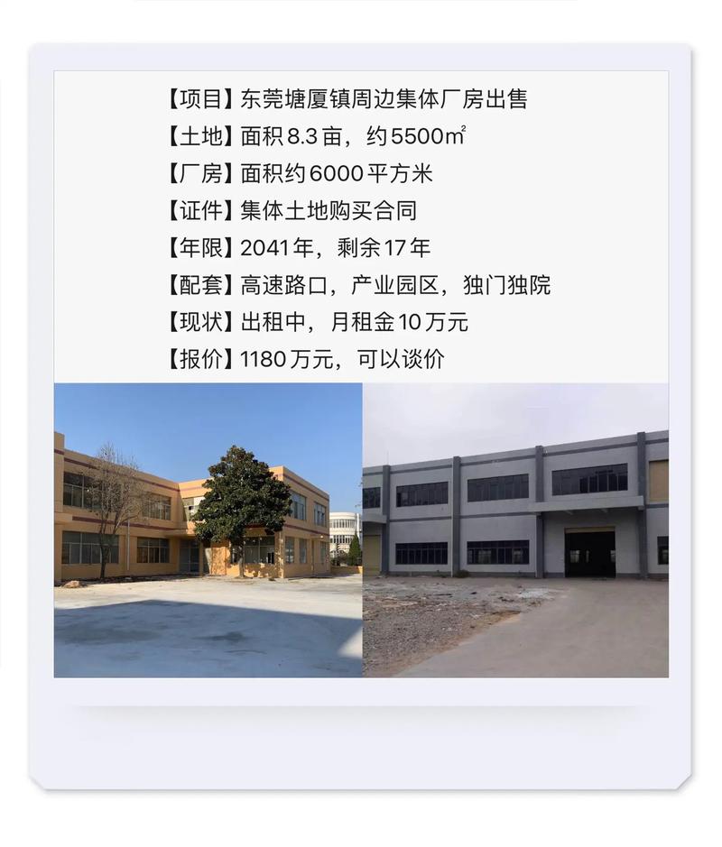 东莞道东实业投资公司是做什么的?