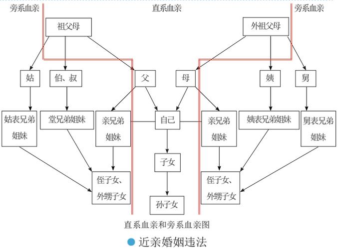 法律近亲属范围如何界定?