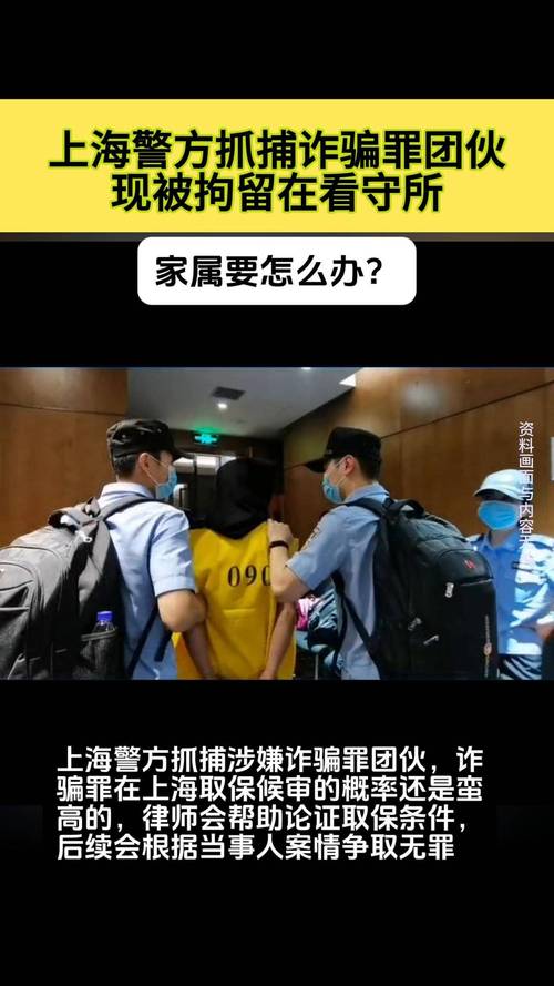 诈骗罪逮捕后案件会如何进展?