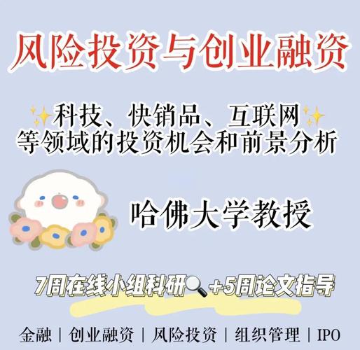 风险投资融资公司案例有何关键启示？