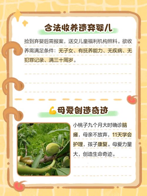 丢弃婴儿行为法律如何界定与惩处?