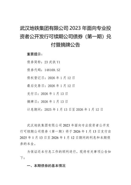 武汉为何禁止注册投资公司？