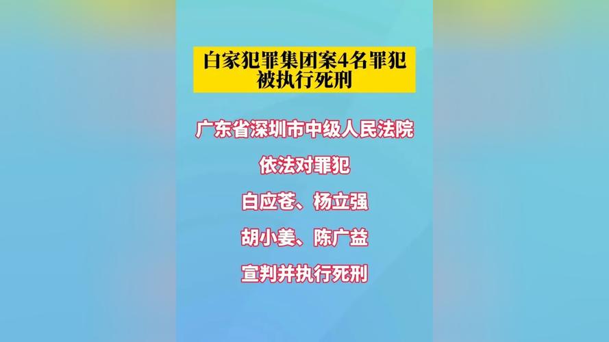 深圳2025诈骗案为何高发？