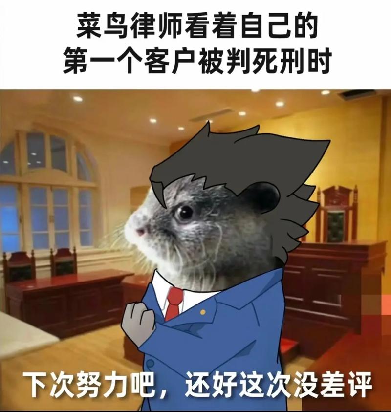 法律专业表情包，合规还是侵权？