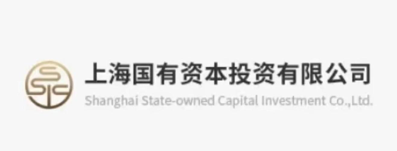 国有独资公司对外投资有何特别规定?