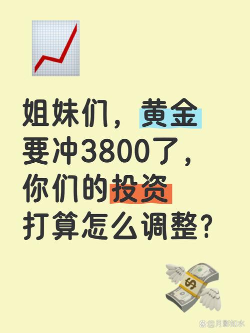 投资3800怎么回事