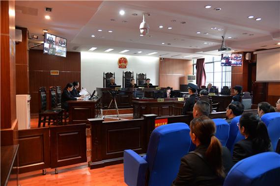 南宁马山韦桂芬诈骗案细节疑点何在?