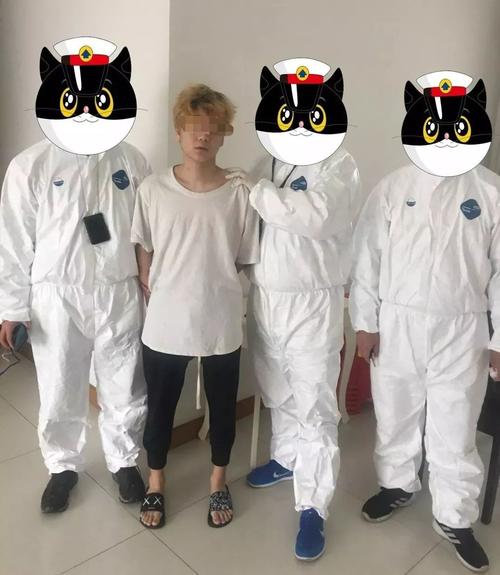 珠海张甲俊金融诈骗案，如何骗取资金？