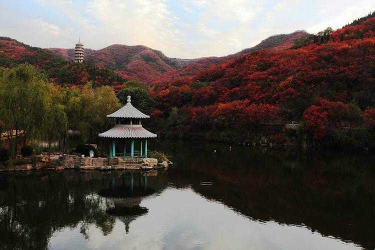 济南枫叶商标注册诈骗，如何防范？