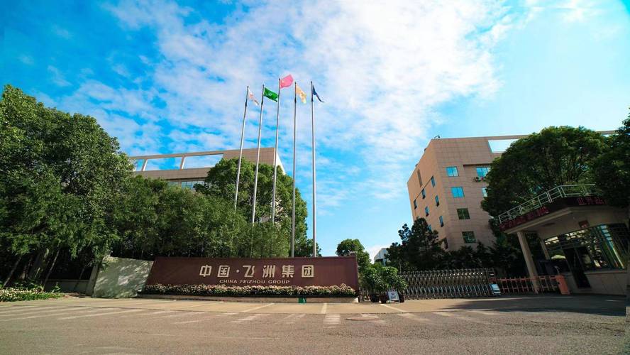 上海飞洲投资有限公司是做什么的？