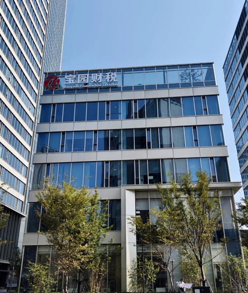 上海宝达投资有限公司是做什么的?