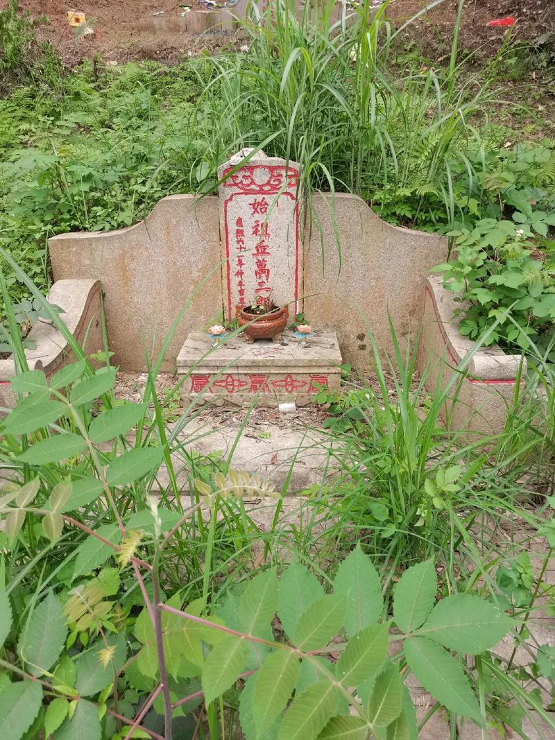 第65条法律对祖坟纠纷如何界定?