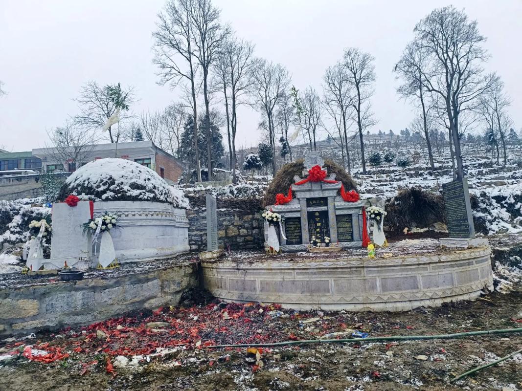 第65条法律对祖坟纠纷如何界定?