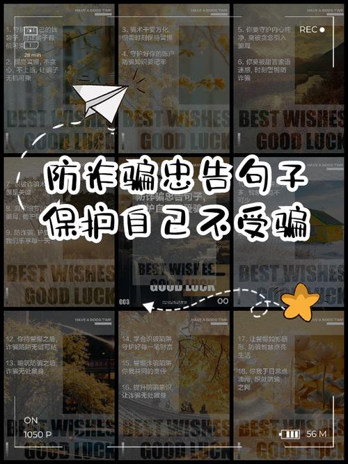 诈骗中坚称不知情,是真无辜还是另有隐情?