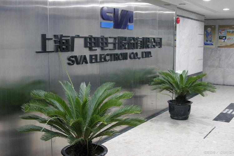 上海鸿哲投资有限公司有何业务或背景?