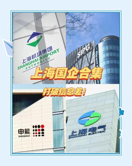 上海信合投资有限公司是何背景？