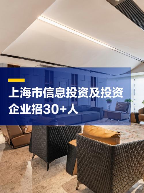 成立投资公司有何深层目的与价值?