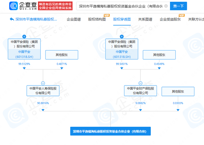 私募股权投资基金融资