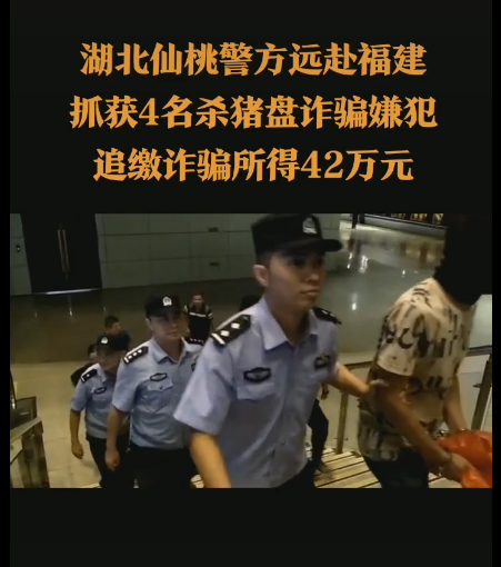 湖北仙桃最新诈骗信息