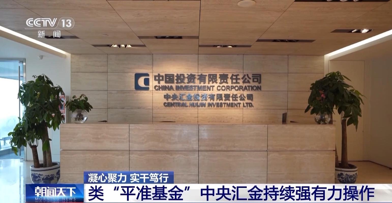 南京公正投资有限公司有何业务或背景？