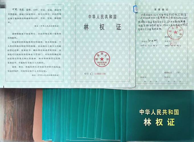 撤销林权证的法律依据有哪些？