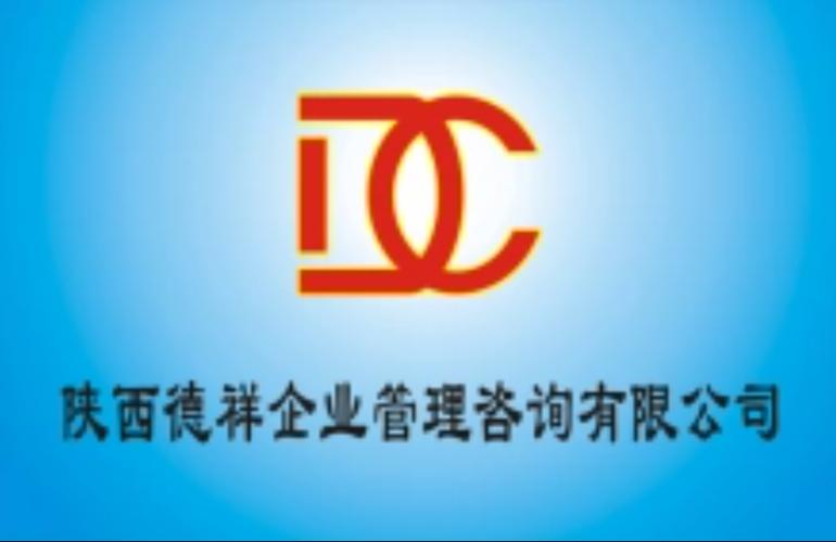 陕西公立投资咨询公司