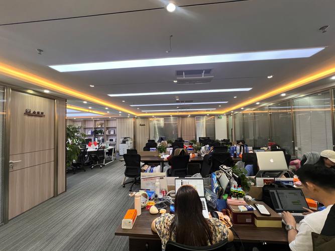 100万投资咨询公司，如何选对不踩坑？