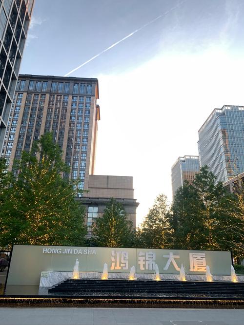 京西阳光投资有限公司是何背景?