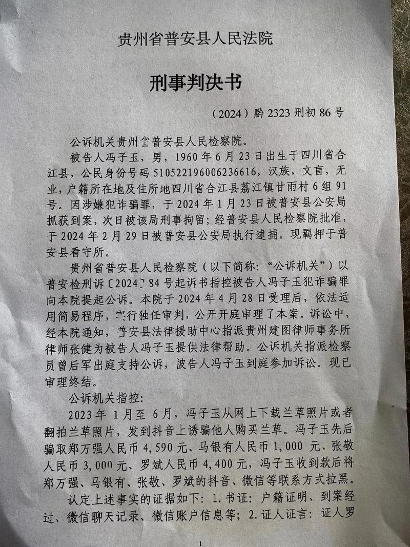 保健品诈骗案判决书,主犯如何量刑?