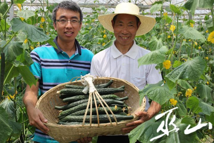 营改增后土地投资入股如何缴增值税?