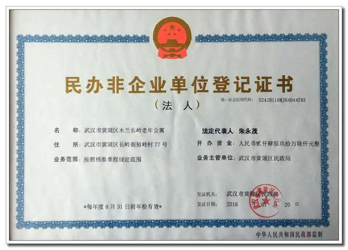 民办非企业单位能否从事投资活动?